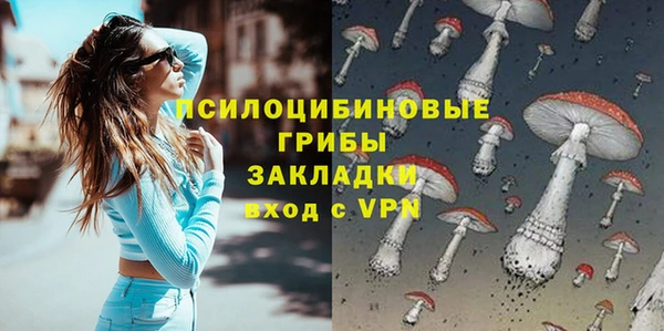 хмурый Бронницы