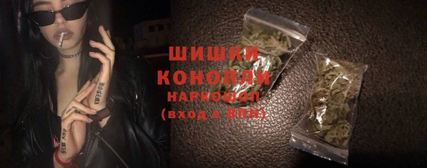 хмурый Бронницы